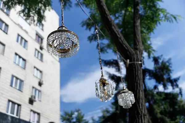 The Art of Ambient Glow Expert Indoor and Outdoor Festive Lighting