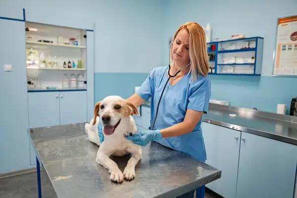 Fast and Efficient Electrical Panel Upgrades