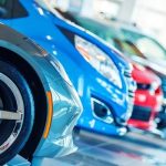 Keeping Auburn Green: Top-Notch Tree Care