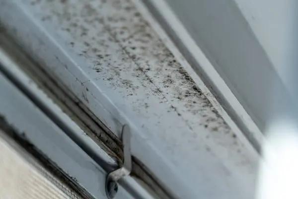 Blinds Southampton Options That Balance Privacy and Light