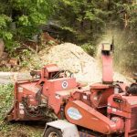 Best Tree Removal Rockford Services for Storm Damage Cleanup