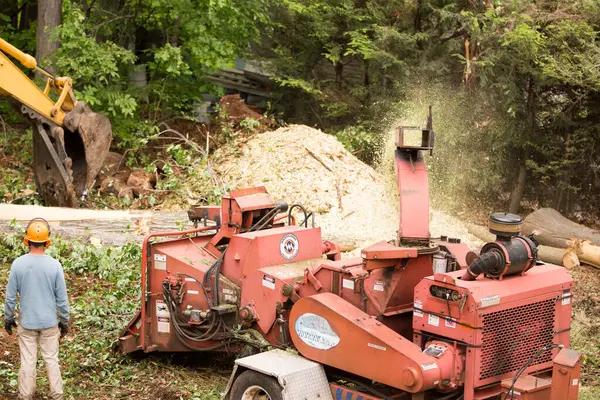 Best Tree Removal Rockford Services for Storm Damage Cleanup