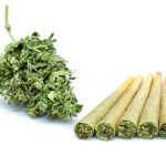 How to Find High Quality Pre Rolls That Actually Deliver