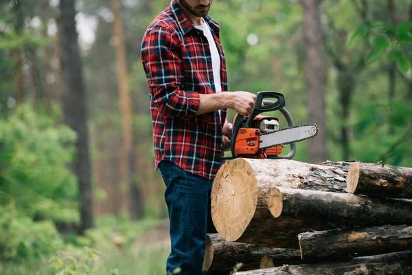 Safe tree removal Services for Residential & Commercial Properties