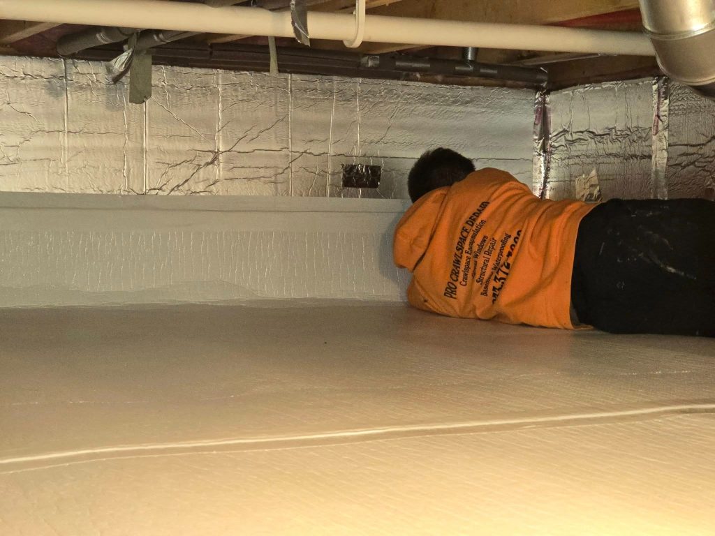 Affordable Services from a Leading Prince George Crawl Space Company