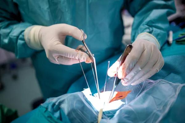 Expert Guidance from a Breast Reconstruction Surgeon Near Me