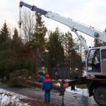 Best The Tree Guys Services in Jackson MI for Fast, Safe & Efficient Tree Work