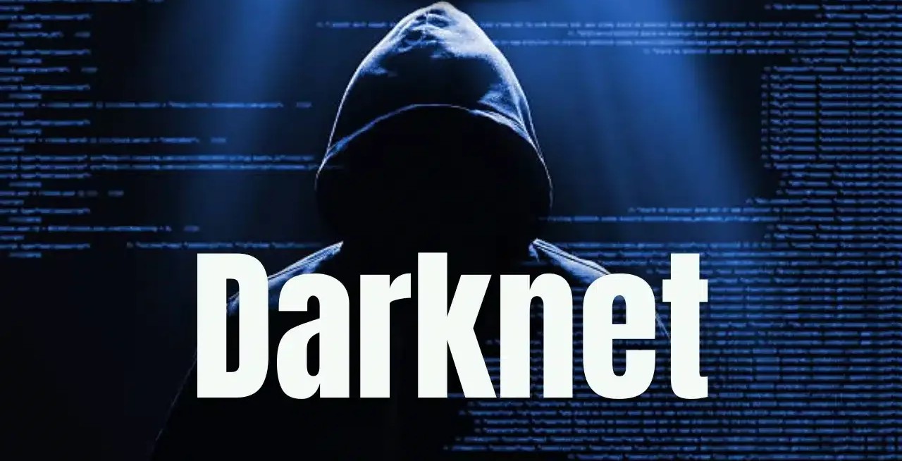 Discover Darknet Performance Metrics Through Live Tor Monitoring