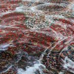 Refresh Every Fiber with Rug Cleaning Phoenix