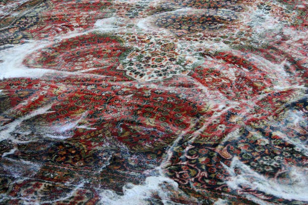 Refresh Every Fiber with Rug Cleaning Phoenix