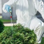 Find Trusted Pest Control Near Me for Fast Service