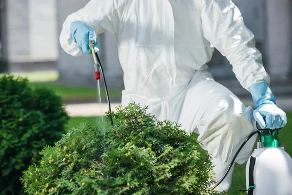 Find Trusted Pest Control Near Me for Fast Service