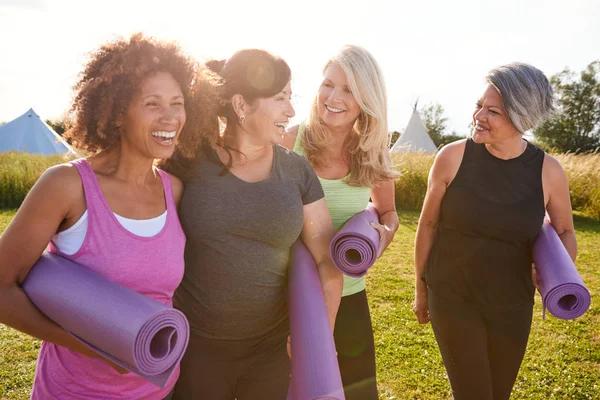 Why Adults Are Choosing Simple Wellness Products for a Mental Reset