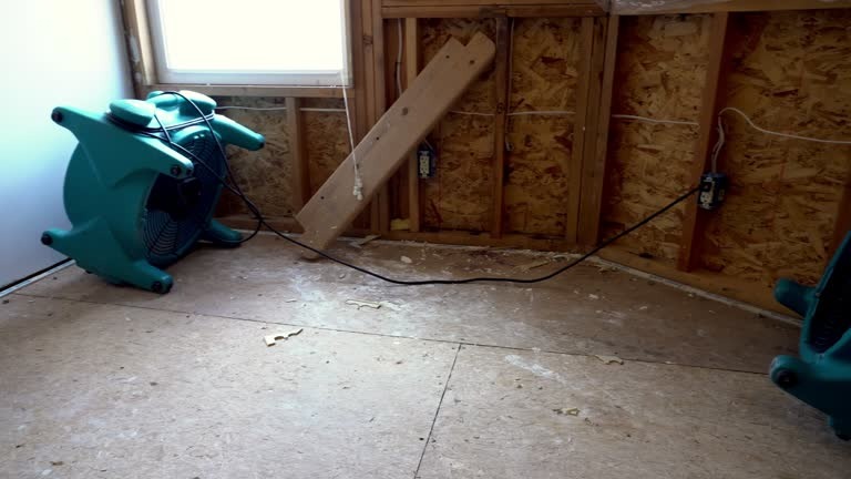Trusted Insulation Company in Prince George for Quality Insulation Services