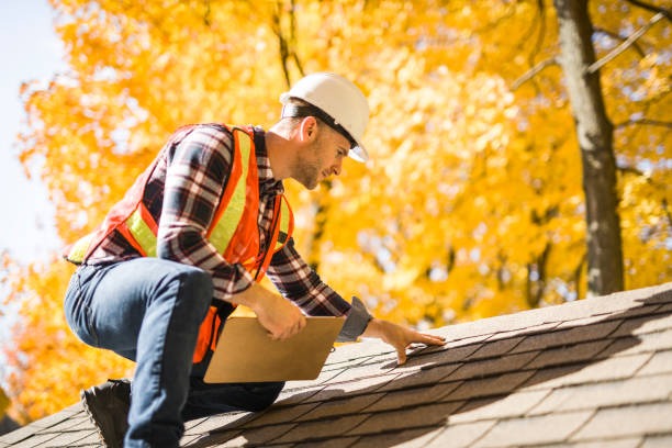 Improve Your Home Protection with an Experienced Roofing Contractor
